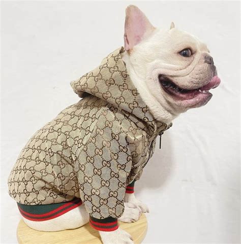 gucci watch dog|gucci clothes for dogs.